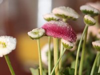 image00054